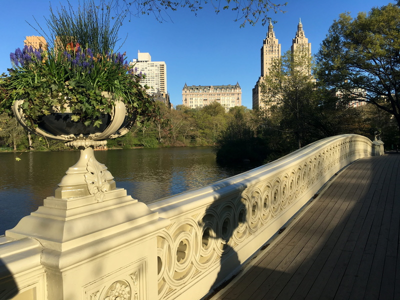 built structure, bow bridge, clear sky, lake, day, travel destinations, morning, bridge, 4K, sunlight, architecture, plant, no people, tree, united states