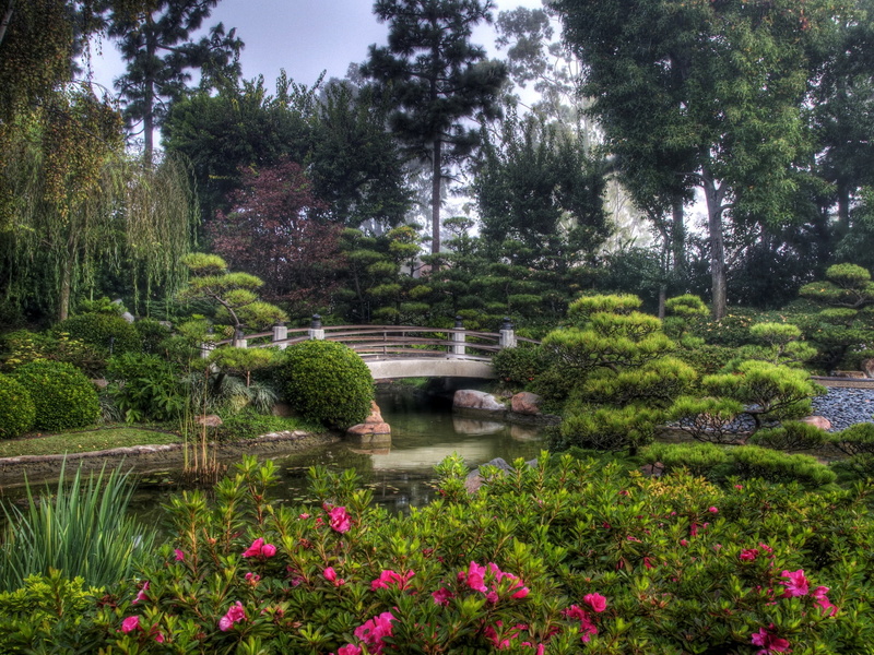 park - Man Made Space, grass, green, water, japanese Garden, tranquility, formal Garden, springtime, pond, famous Place, growth, plant, bow Bridge, 1080P