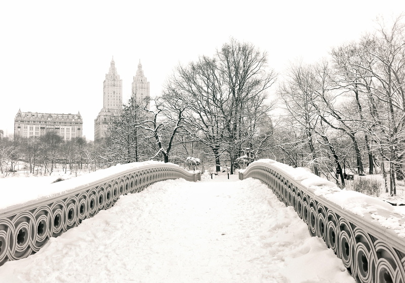 New York City, winter, Bow Bridge, the city, outdoors, connection, NYC, snow, travel destinations, nature, tree, home, footbridge, Central Park, 1080P