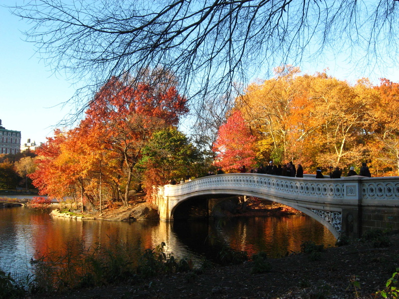 october, fiery, closing, bow, bridge, x, 2K, seasons, nature, hd, autumn, art