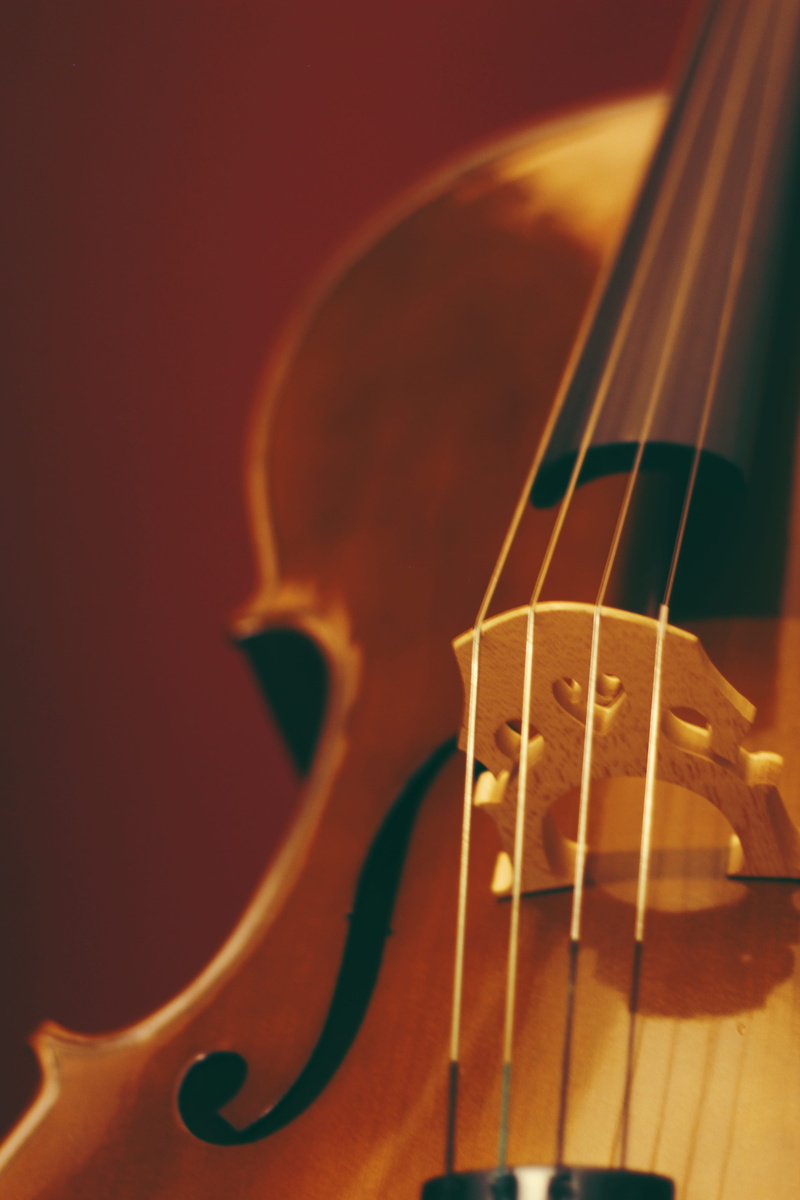 musical equipment, stringed instrument, close-up view, studio shot, bowed stringed instrument, classical music, focal, viola, acoustic guitar, still life