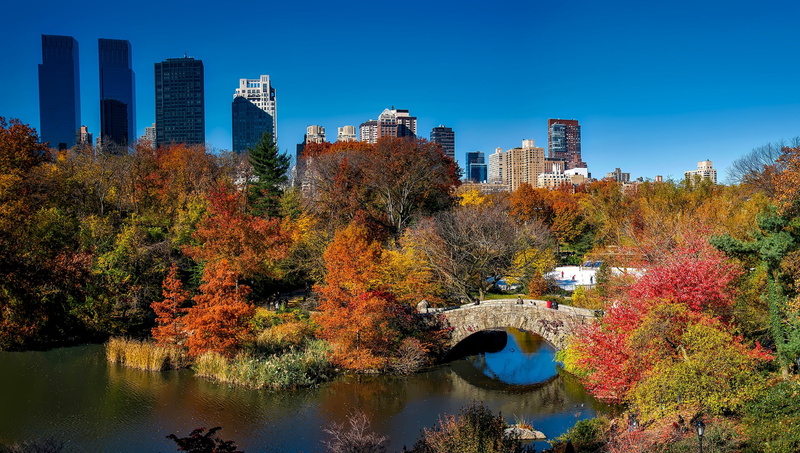 sky, plant, tourism, fall, architecture, bridge, central Park, change, buildings, manhattan - New York City, tree, urban, skyline, urban Scene, new York City