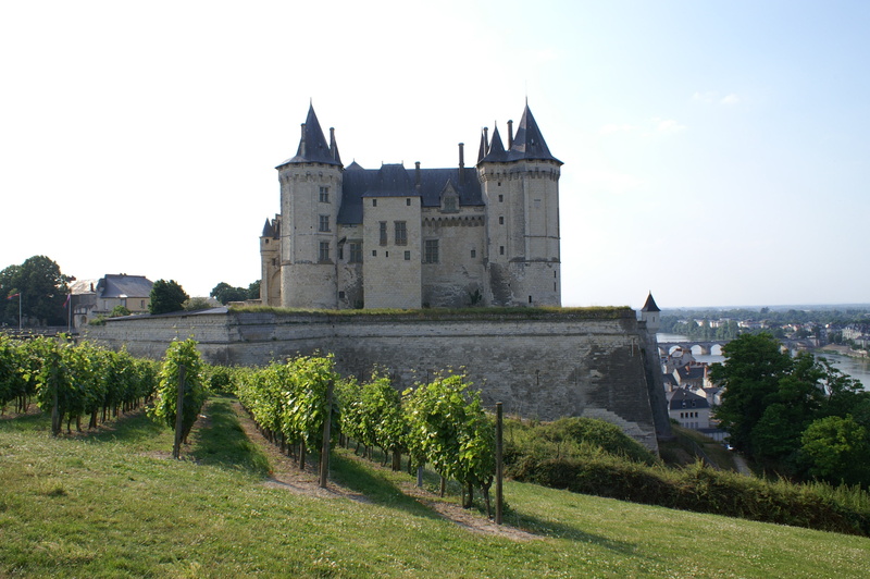 the past, building, castle, saumur, abbey, outdoors, sky, history, travel, loire, tree, clear sky, tourism, grass, fort, architecture, travel destinations