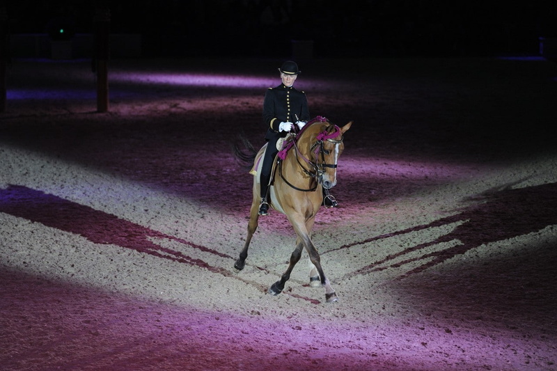 horse saumur equitation france, 720P