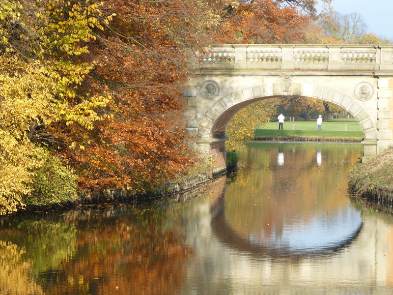 park - Man Made Space, arch, bow Bridge, architecture, river, Water, bridge - Man Made Structure, built structure, day, plant, reflection, Bridge, outdoors