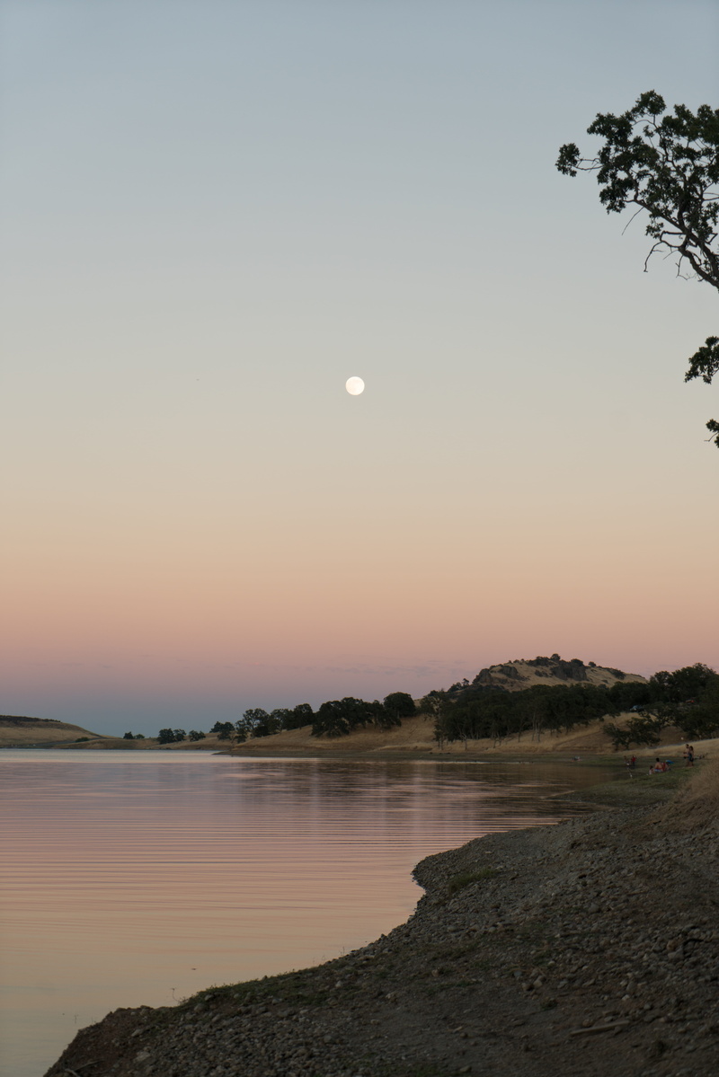 campsite, trees, black butte lake recreation area, water, astronomy, space, idyllic, summer, 8K, united states, moon, clear sky, orland, plant, camping