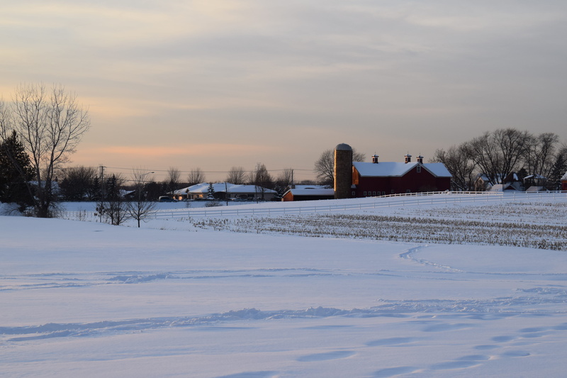 nature, sunset, building, united states, orland park, building exterior, farm, beauty in nature, covering, outdoors, winter, scenics - nature, built structure