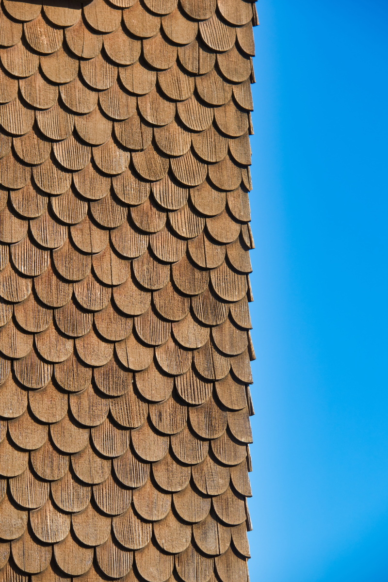 in a row, repetition, shingle, sky, large group of objects, nature, facade cladding, 5K, abundance, day, no people, close-up, sunlight, wood shingles