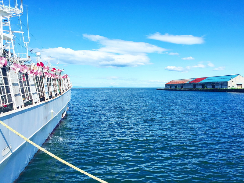 japan, nautical vessel, waterfront, transportation, outdoors, sunlight, beauty in nature, luxury, yacht, cruise ship, no people, ship, architecture, day