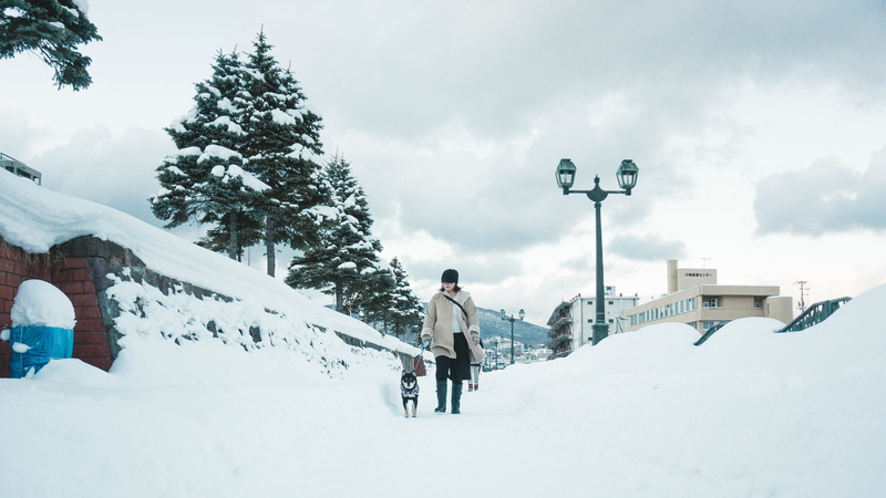 architecture, lifestyles, white, nature, winter, day, vacation, sky, holiday, 4K, outdoors, hokkaido, mountain, cloud - sky, leisure activity, real people