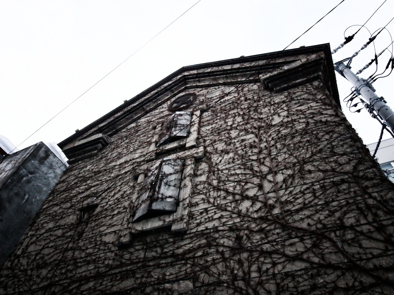 window, built structure, bare tree, low angle view, cable, 5K, old, clear sky, otaru-shi, house, nature, wall - building feature, architecture, sky, building