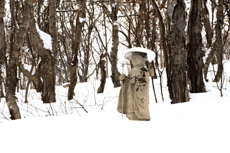 winter, one person, otarutenguyama shrine, outdoors, day, hokkaido, clothing, trunk, warm clothing, tree, japan, buddhism, otaru, land, tree trunk, covering