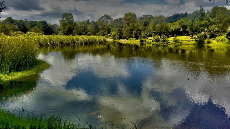 lake, field, environment, colombia, waterfront, forest, no people, beauty in nature, water, photoshop, 4K, city, plants, hdr, afternoon, tranquility, tranquil scene