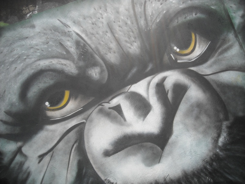 urban art, underwater, graffiti, undersea, bogota, sea life, animal wildlife, marine, animals in the wild, water, portrait, sea, swimming, one animal, colombia