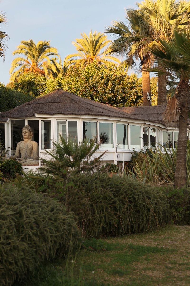 front or back yard, marbella, coconut palm tree, nature, coast, no people, facade, grass, building exterior, plant, palm leaf, architecture, building, buddha