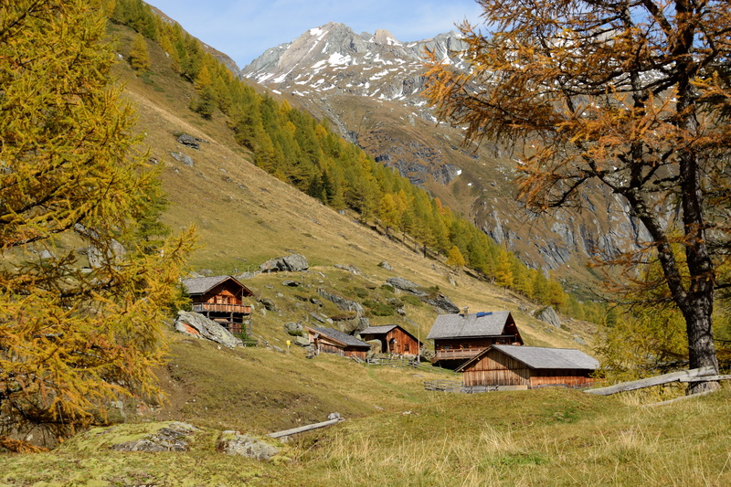 grass, hut, autumn day, hiking, bergdorf, landscape, larch, building exterior, yellow, log cabin, mountain landscape, mountains, valley, golden autumn