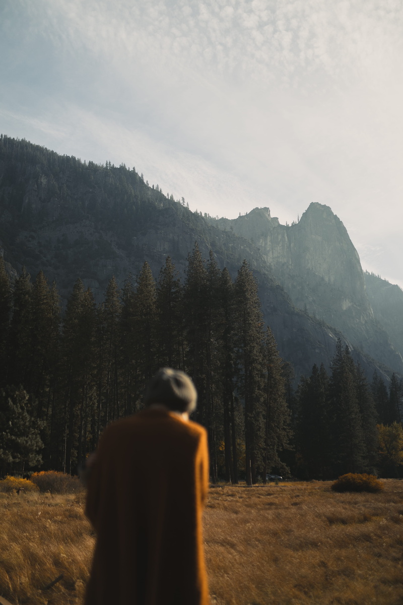 tree, leisure activity, grey, scenics - nature, landscape, human, tranquility, beauty in nature, trees, outdoors, sky, real people, girl, rear view, golden hour