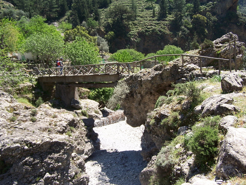 crete, plant, footbridge, solid, bridge - man made structure, rock, beauty in nature, day, sunlight, outdoors, incidental people, connection, growth, tree