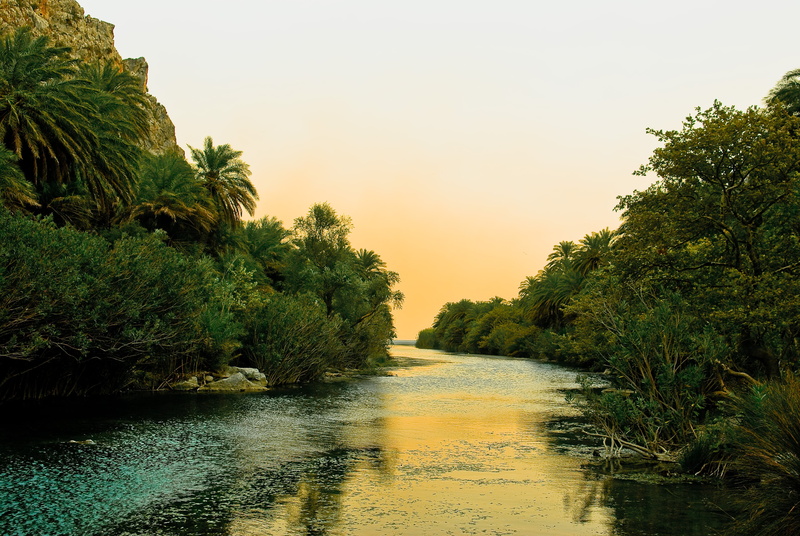 sea, palm Tree, landscape, palm trees, beauty In Nature, scenics, crete, summer, sunrise - Dawn, river, travel Destinations, lake, dusk, cloud - Sky, sun