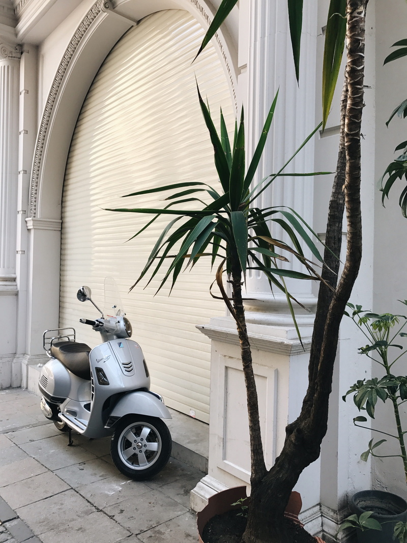 parked, nature, motor vehicle, roller shutter, roller, motor scooter, built structure, day, motor, scooter, mode of transportation, window, plant, plant part