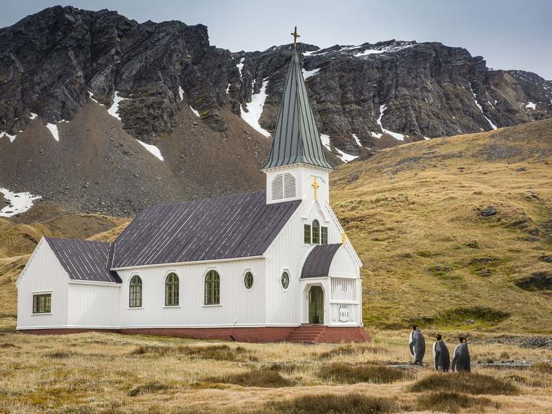 day, rock, land, penguins, nature, spirituality, building, snowy peak, men, church, outdoors, building exterior, 1080P, animals, hills, place of worship