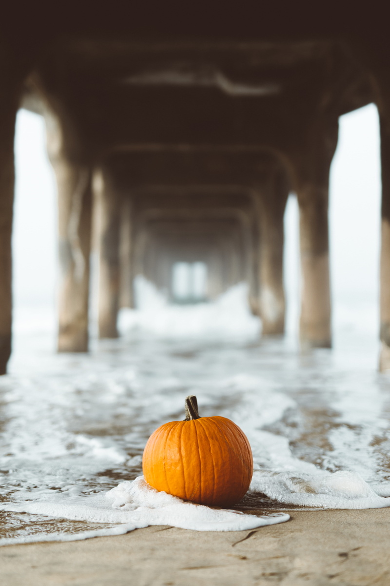 selective, sud, beach, halloween, autumn, wellbeing, ocean, under the bridge, winter, photography, harvest, selective focus, ocean waters, wood - material