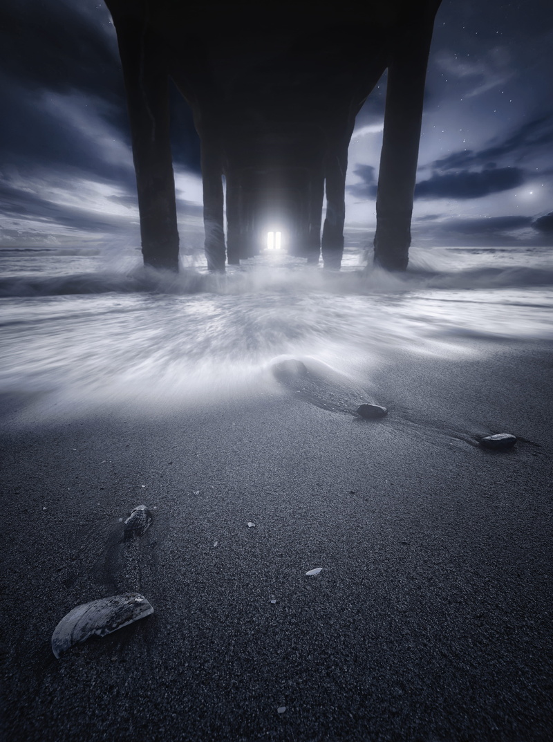 beach, animal themes, no people, scenics - nature, nature, outdoors, day, ocean, dock, animal, bird, grey, night, wooden, low, animal wildlife, time, land