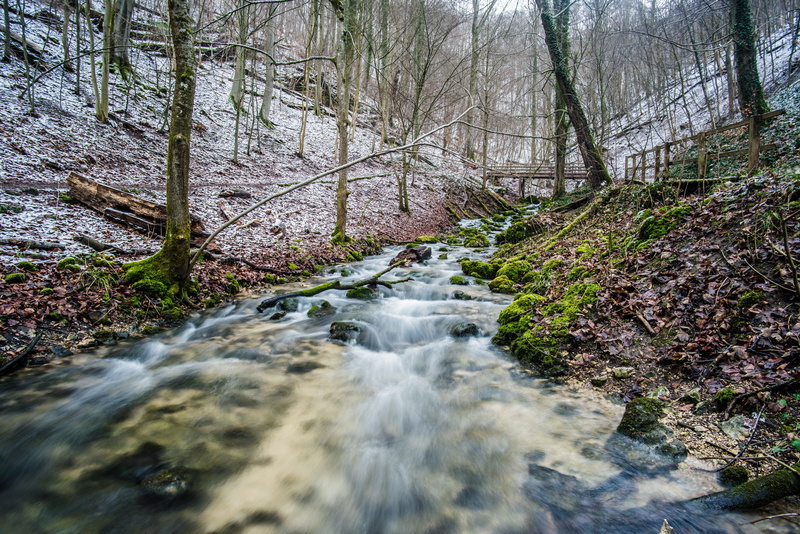 flowing, woodland, motion, nature, cooking origin, 5K, environment, stream - flowing water, landscape, flowing water, creek, river, long exposure, wet