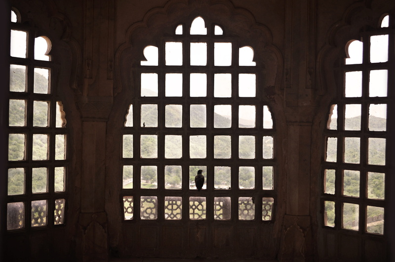mountain, religion, palace, place of worship, architecture, travel, built structure, bird, view, ornate, window, nature, jaipur, india, old, building, 2K