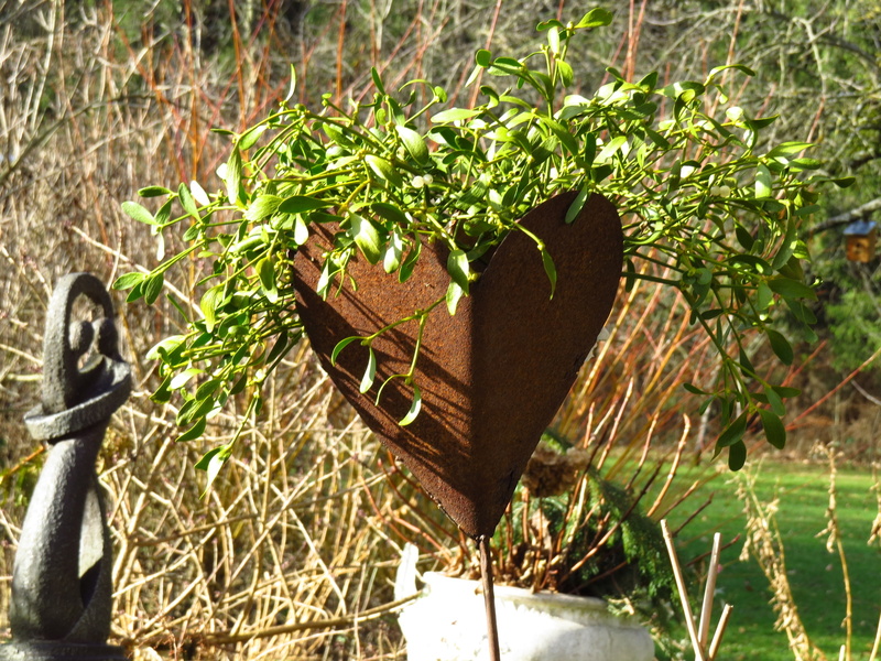 sunlight, flowerpot, beauty in nature, garden, viscum, heart, sunny, high angle view, nature, gardening, no people, close-up, day, land, 4K, field, plant