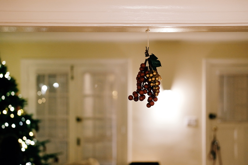 lights, no people, illuminated, decoration, healthy eating, mistletoe, wellbeing, sunlight, nature, food, hanging, celebration, fruit, holiday, focus on foreground
