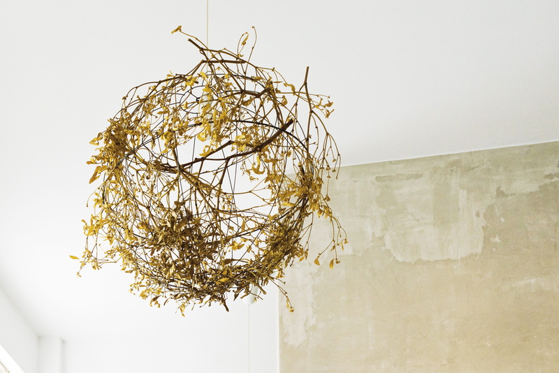 branch, mistletoe, decoration, ceiling, absence, interior, ruined, wall - building feature, green, day, sphere, white color, copy space, low angle view