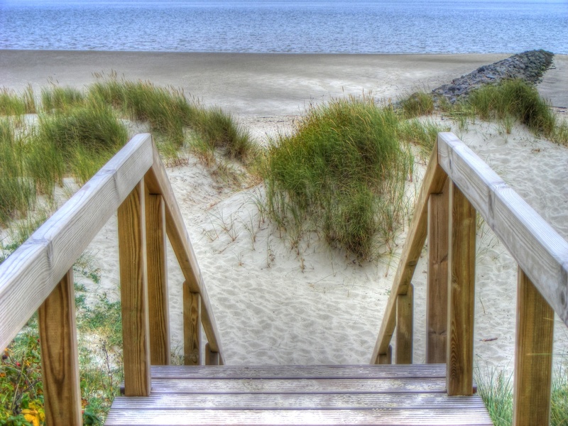 sand, no people, day, brown, wood - Material, seashore, land, marram grass, tranquil scene, tranquility, nature, wooden, sand beach, horizon, wind, beauty in nature