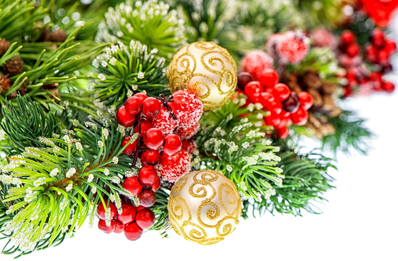 pine, pine Cone, tree, red, balls, mistletoes, winter, indoors, toys, snow, ornate, decorating, 4K, shiny, gold, decor, focus on foreground, christmas Ornament