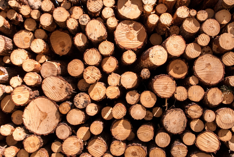 abundance, full frame, drewno, lumber industry, wood - material, outdoors, tree, no people, deforestation, woodpile, stack, timber, textured, environmental issues