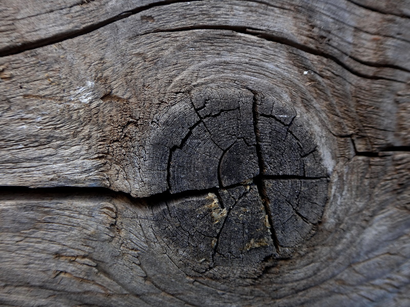 natural pattern, full frame, african elephant, wrinkled, no people, pattern, nature, elephant, wood, ring, brown, animal, animal themes, animal body part