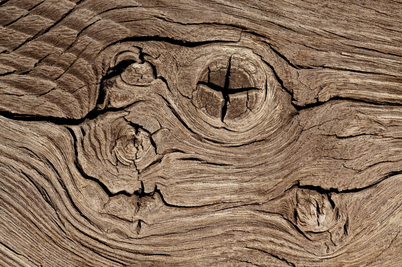 wood - material, outdoors, textured, natural pattern, full frame, brown, material, pattern, wooden, close-up, wood grain, hardwood, plant, knotted, detail