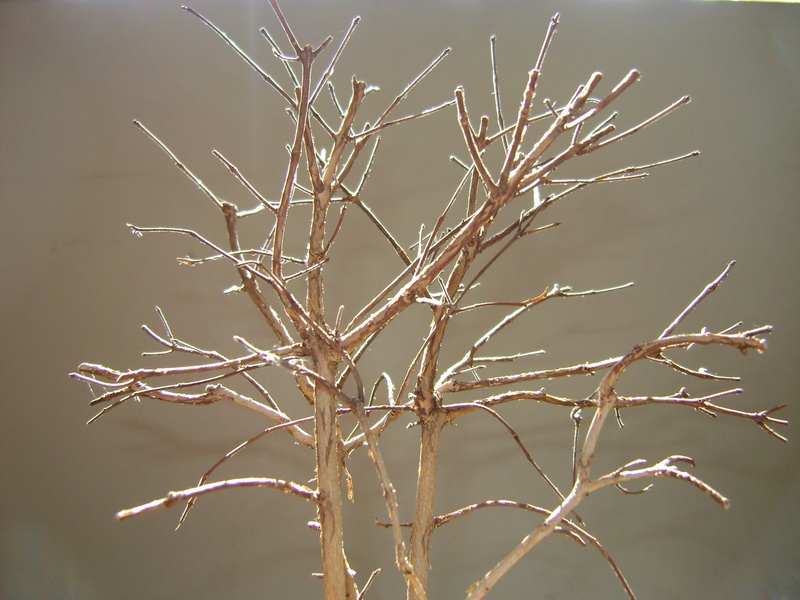 wilted plant, 2K, growth, plant stem, landscape, no people, marron, dry, tree, bare tree, dried, close-up, day, tranquility, focus on foreground, nature