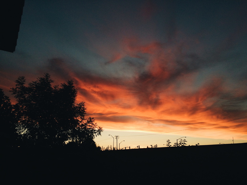 orange color, 5430 w palo alto ave, no people, landscape, silhouette, low angle view, non-urban scene, trees, cloud - sky, environment, tranquil scene