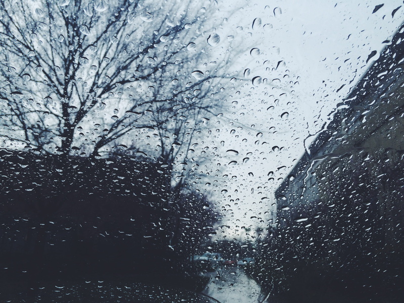 vehicle interior, water, outdoors, car, glass, 2K, windshield, rain, trees, wet, window, no people, glass - material, fresno, motor vehicle, mode of transportation