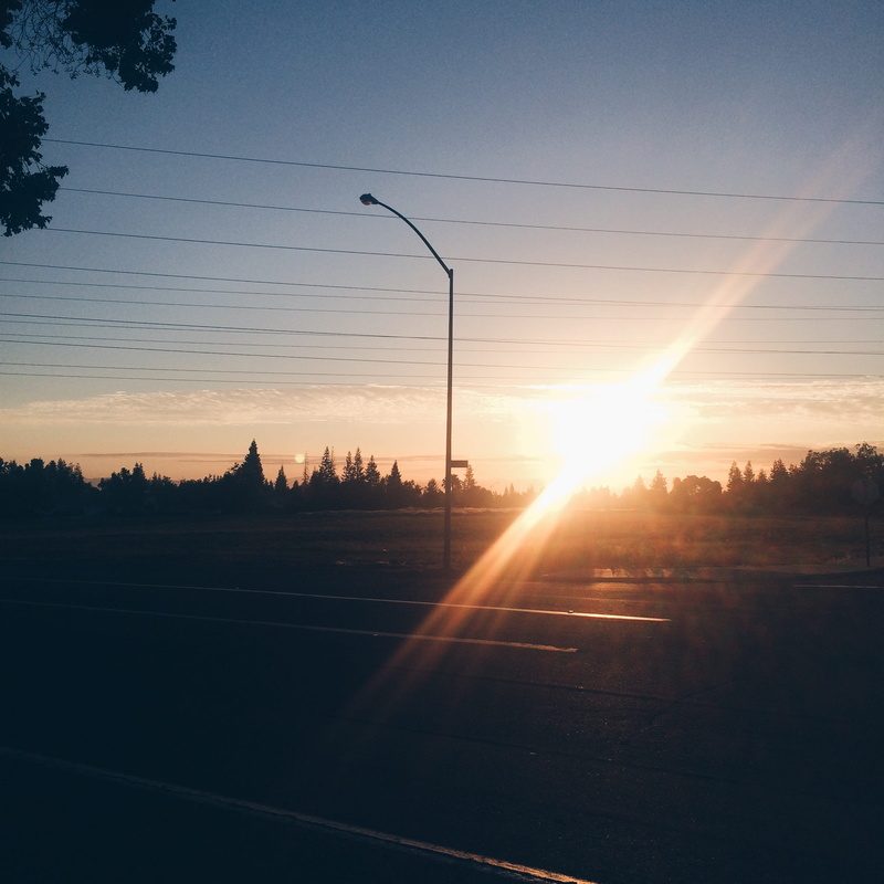plant, trees, power supply, electricity, sun, lens flare, sky, sunlight, sunrise, bright, 1080P, silhouette, nature, united states, fresno, transportation
