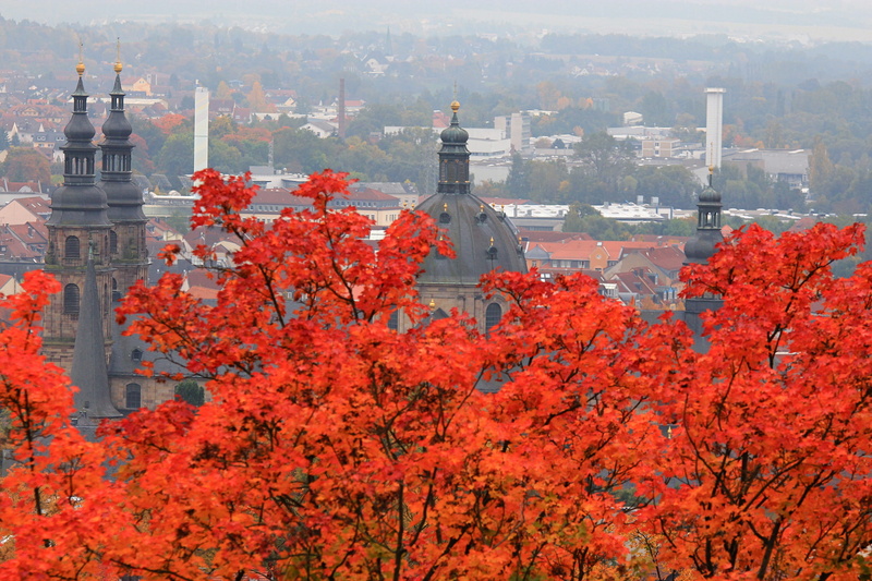 panorama, Cathedral, Fulda, Hesse, autumn, leaves, 1080P, trees, Germany, landscape