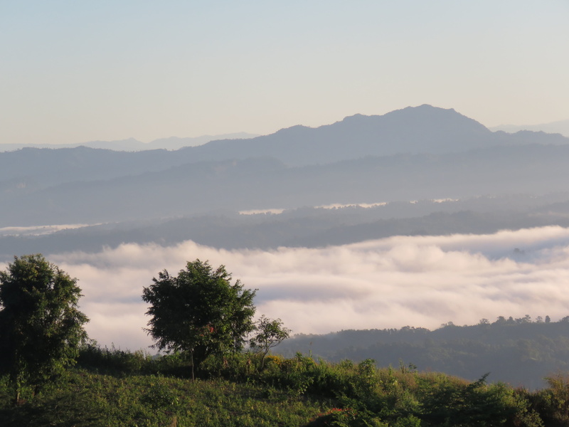 growth, outdoors, 4K, nilgiri, mount, plant, travel, landscape, mountain range, bangladesh, non-urban scene, beauty in nature, no people, tranquility