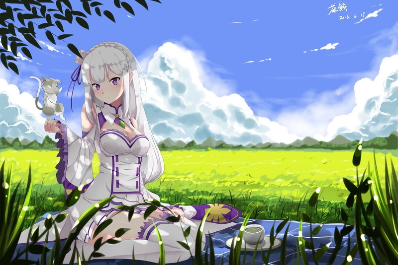 day, green color, sky, purple eyes, outdoors, plant, clouds, Emilia (Re: Zero), Re:Zero Kara Hajimeru Isekai Seikatsu, 720P, white hair, tea, long hair