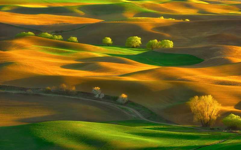 state, dessert, butte, steptoe, brown, 1080P, washington, park, green