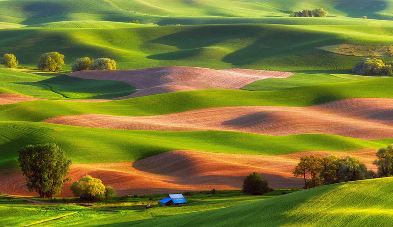 hills, field, 1080P, carpets, Steptoe Butte State Park, house, trees, USA