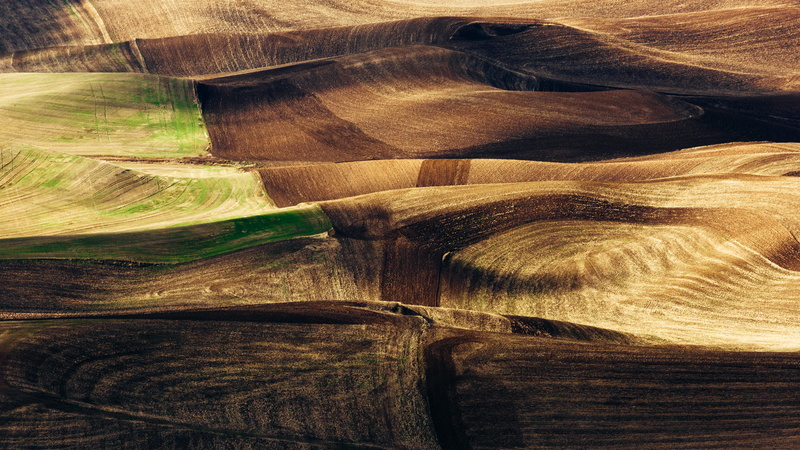 dirt road, nature, rural scene, day, scenics - nature, agriculture, gravel, wood, beauty in nature, environment, non-urban scene, dirt, swirl, 5K, tranquility