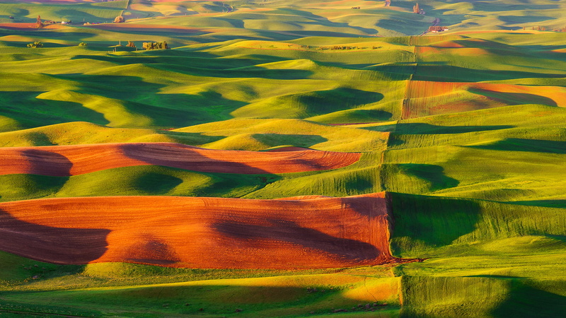 hills, nature, Steptoe Butte State Park, USA, carpets, valley, 1080P, field