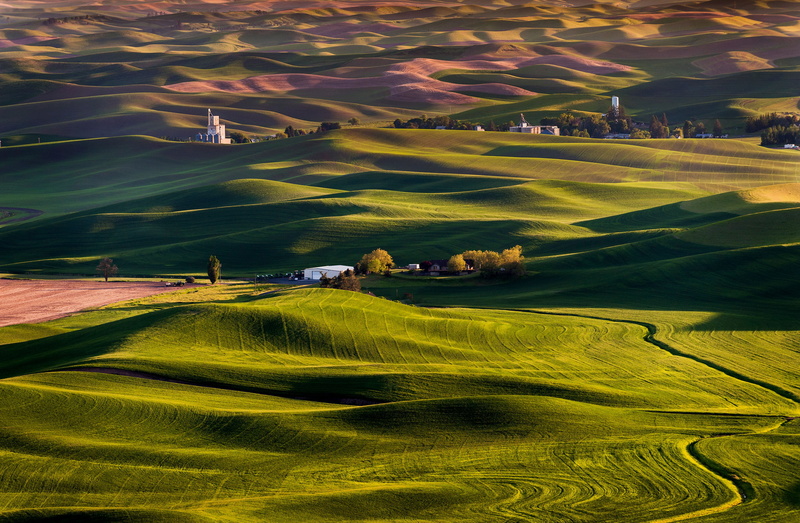 1080P, Steptoe Butte State Park, hills, field, USA, farm