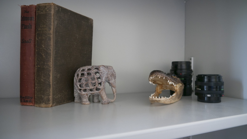 publication, elephant, united states, shelf, architecture, photo lense, ancient civilization, two objects, still life, toy, figurine, aligator, sculpture